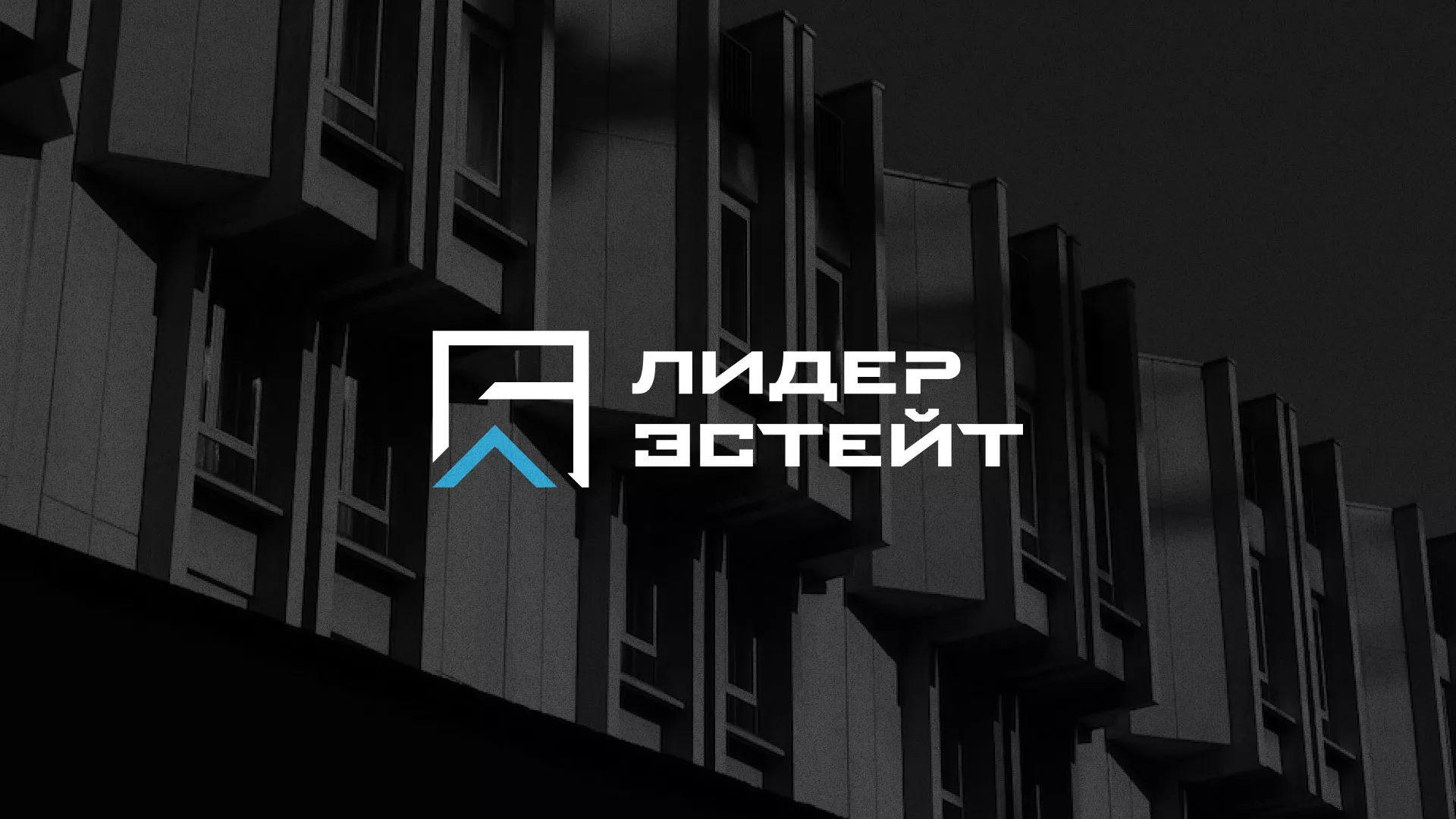 Разработка логотипа агентства недвижимости «Лидер Эстейт» в Дмитриеве